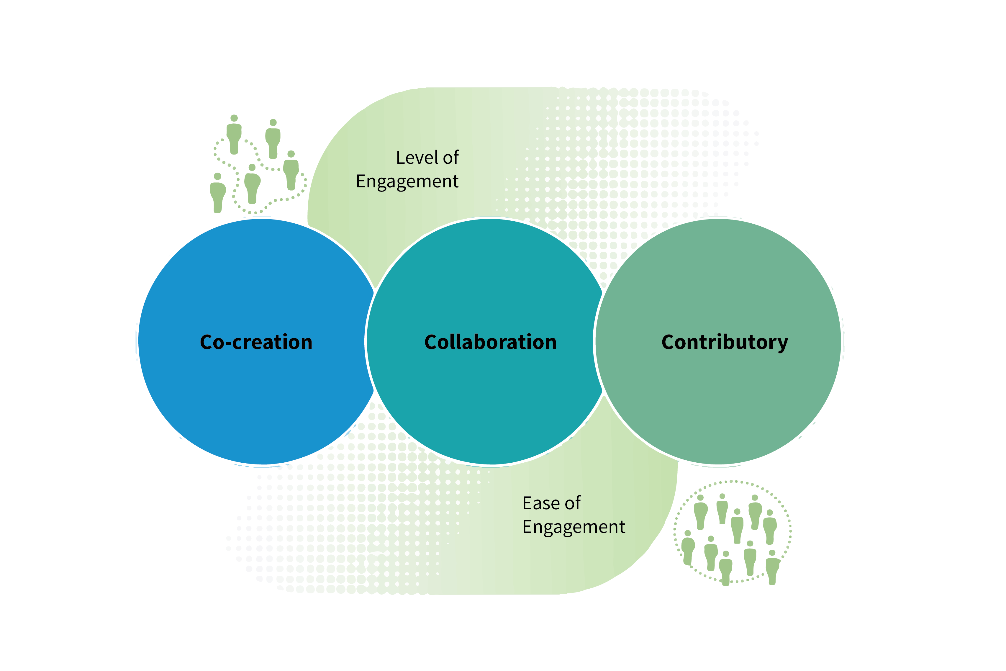 Citizen science and Water Quality